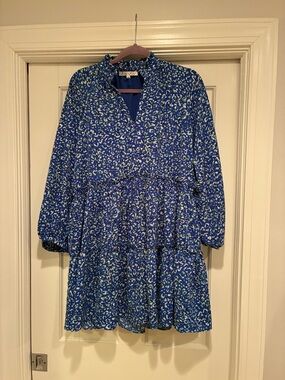 Joy Joy Blue Floral Mini Dress